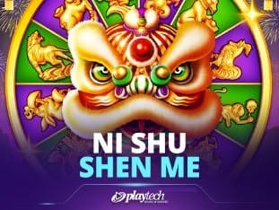 Ni Shu Shen Me screenshot